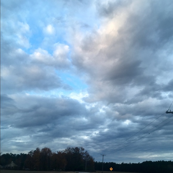 Meet your Posher, Nena - Picture 3 of 4